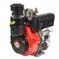  Vitals DM 14.0kne